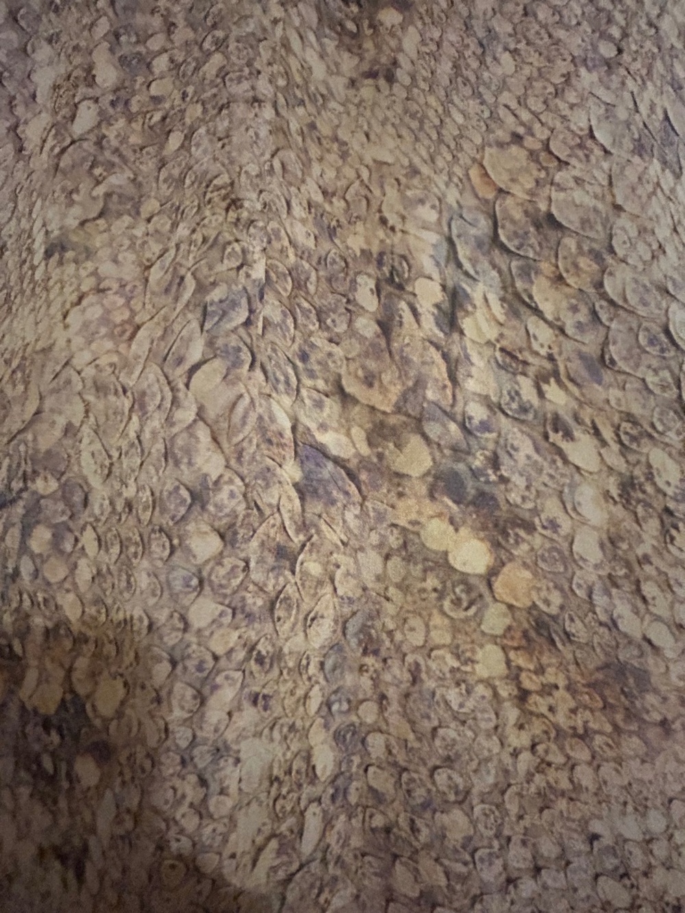 Animal Print V-Neck Sheer Top SIZE MEDIUM - Picture 5 of 5